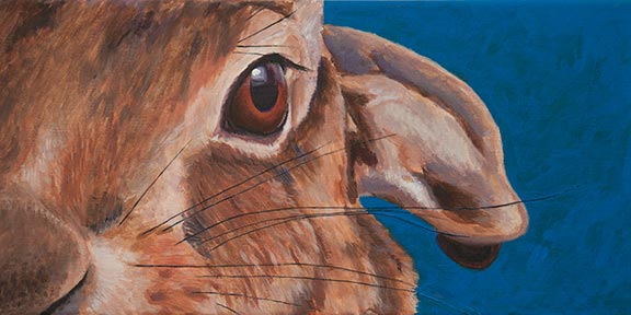 Big Hare 8x16in