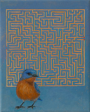 Bluebird Maze 10x8