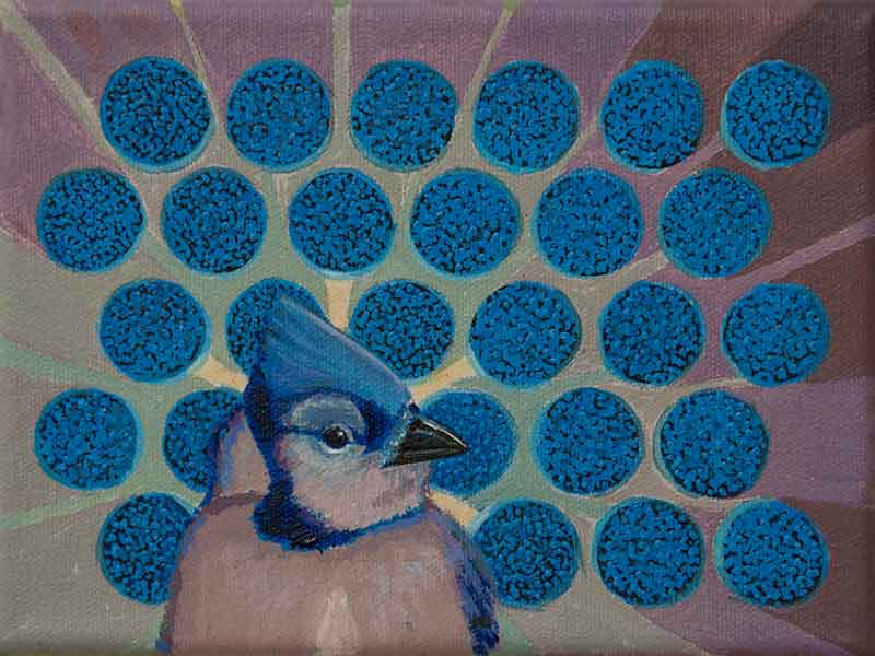 Blue Jay Allsorts 6x8