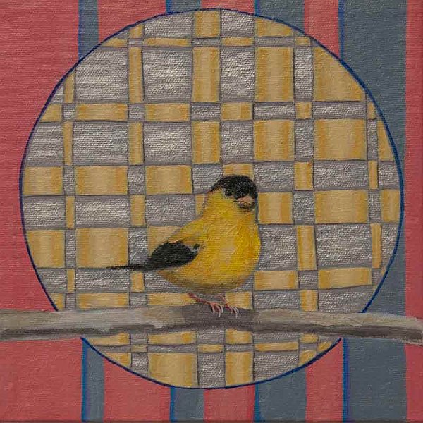 Pulse Goldfinch 8x8