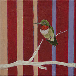 Loop Humming Bird 6x6