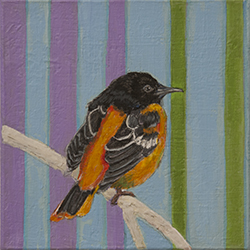 Loop Oriole 6x6