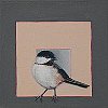 Homage To The Chickadee 6x6 (SOLD)