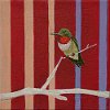 Loop Humming Bird 6x6