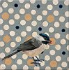 Camouflage Series Chickadee 6x6